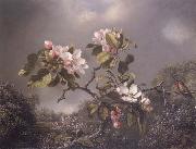 Martin Johnson Heade Apple Blosoms and Hummingbird oil on canvas